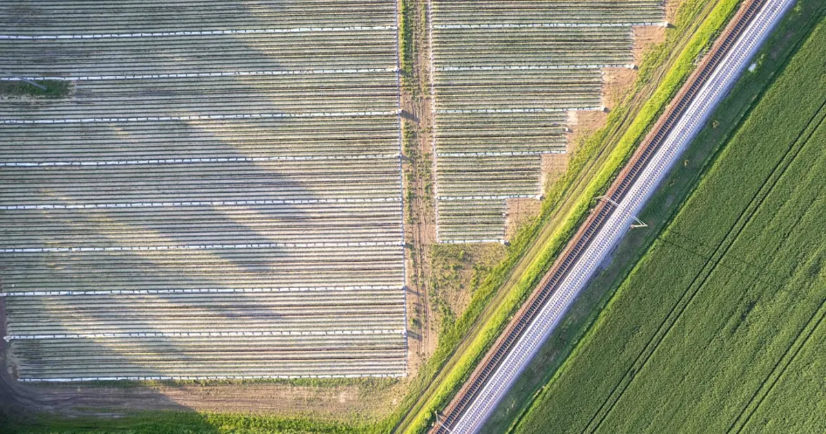 ERP agroalimentaire Maroc : traçabilité et export